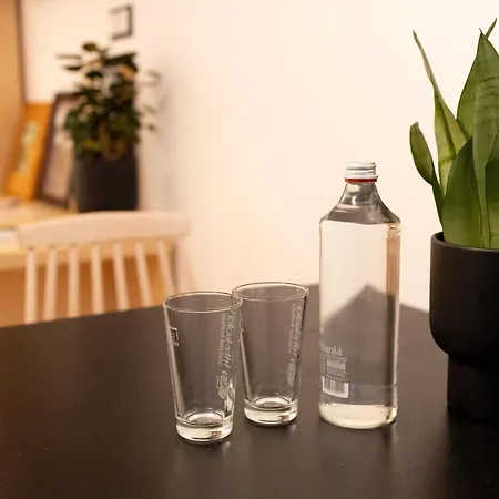 Luxury 12-4 Apartment